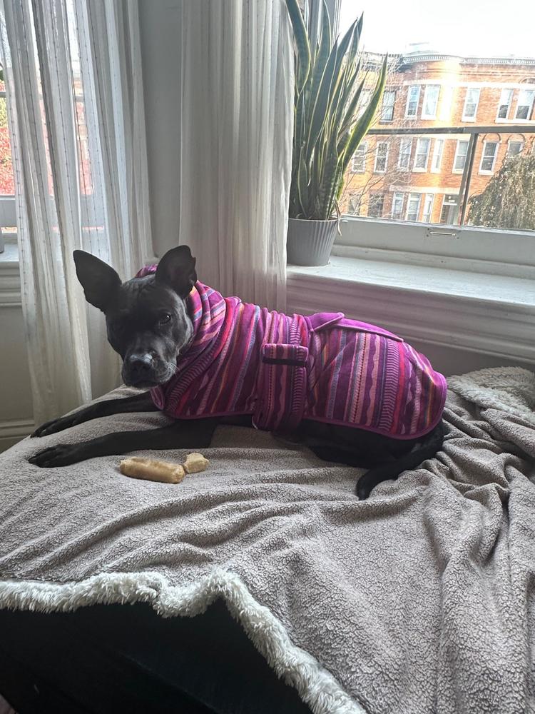 Big Sky Fleece Jacket - Customer Photo From Elisabeth Danner