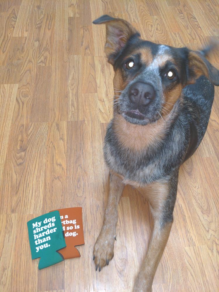 Party Dog Koozies - Customer Photo From Savanah
