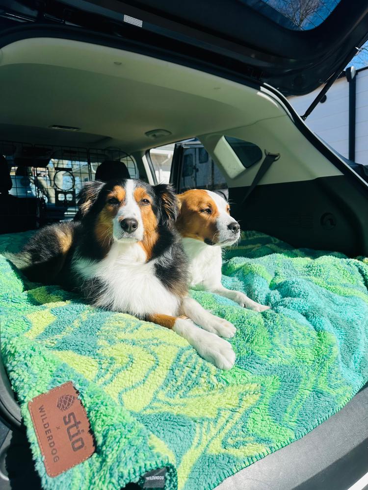 Stio Sherpa Fleece Waterproof Blanket - Customer Photo From Izzy