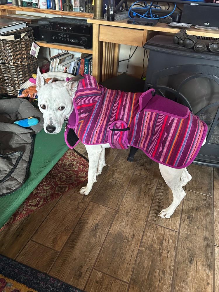 Dawn Fleece Jacket – Wilderdog