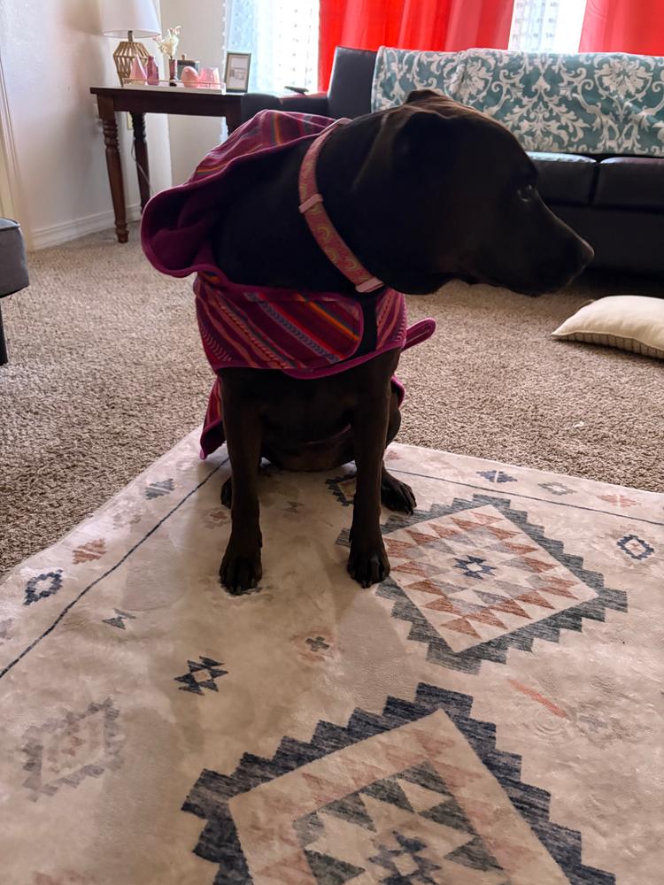 Dawn Fleece Jacket – Wilderdog