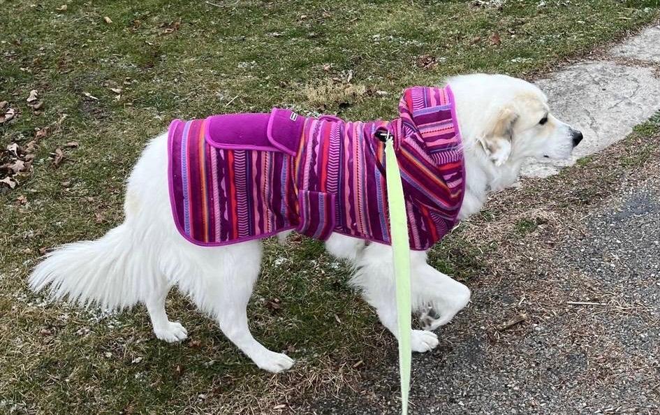 Dawn Fleece Jacket – Wilderdog
