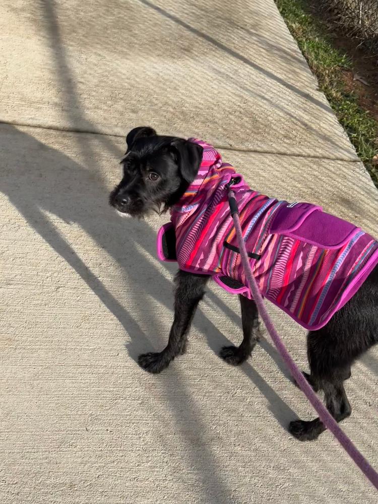 Dawn Fleece Jacket – Wilderdog