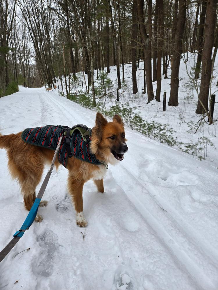 Olive Fleece Jacket - Customer Photo From Kristine Mclaughlin