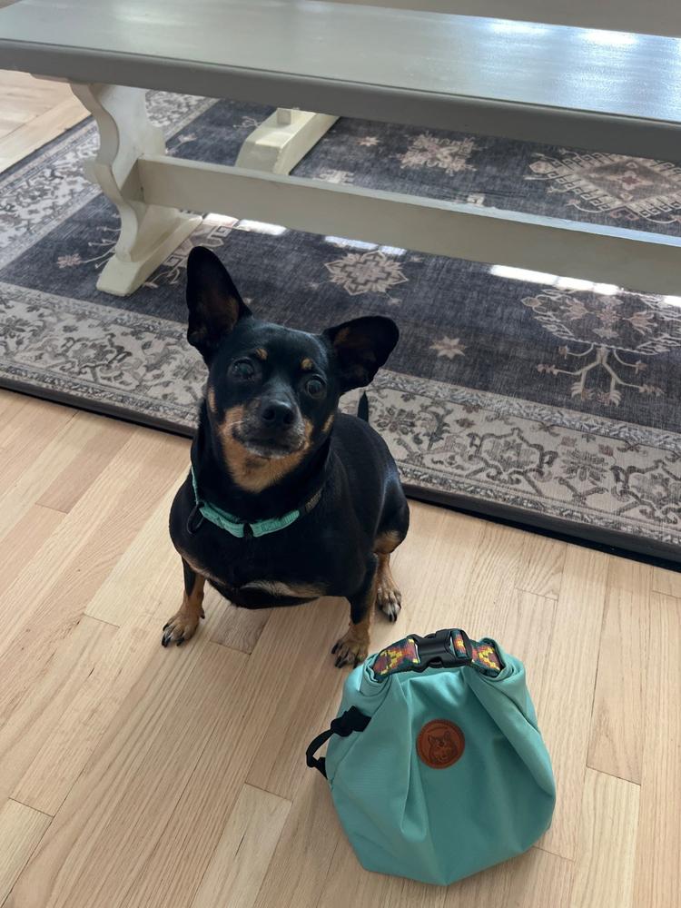 Doggie Bag - Customer Photo From Anonymous