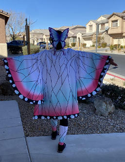 Shinobu Cosplay Costume Halloween Carnival Suit - Customer Photo From MButtitta