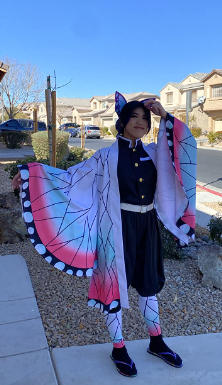 Shinobu Cosplay Costume Halloween Carnival Suit - Customer Photo From MButtitta