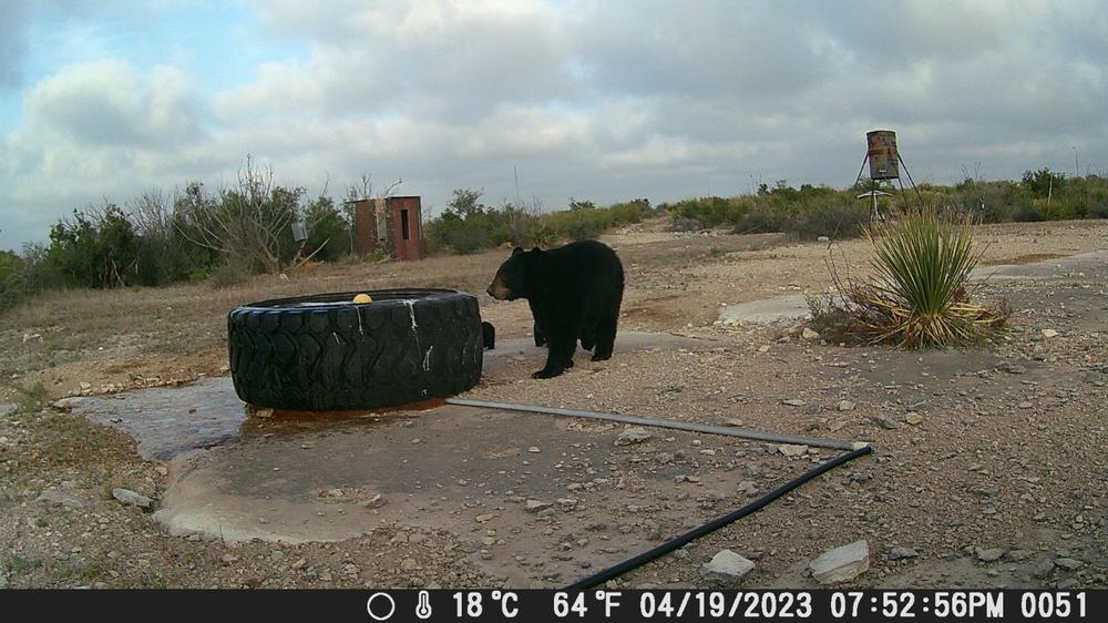 Spartan GoCam M 4G/LTE - Customer Photo From Robert Coronado