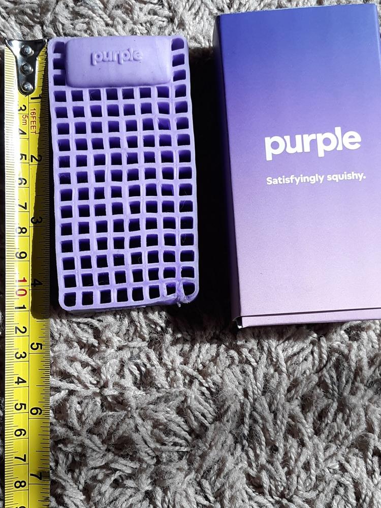 Purple / L