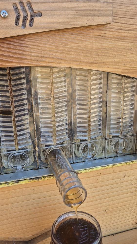 Flow Hive 2+ - Customer Photo From Chrissy Lang