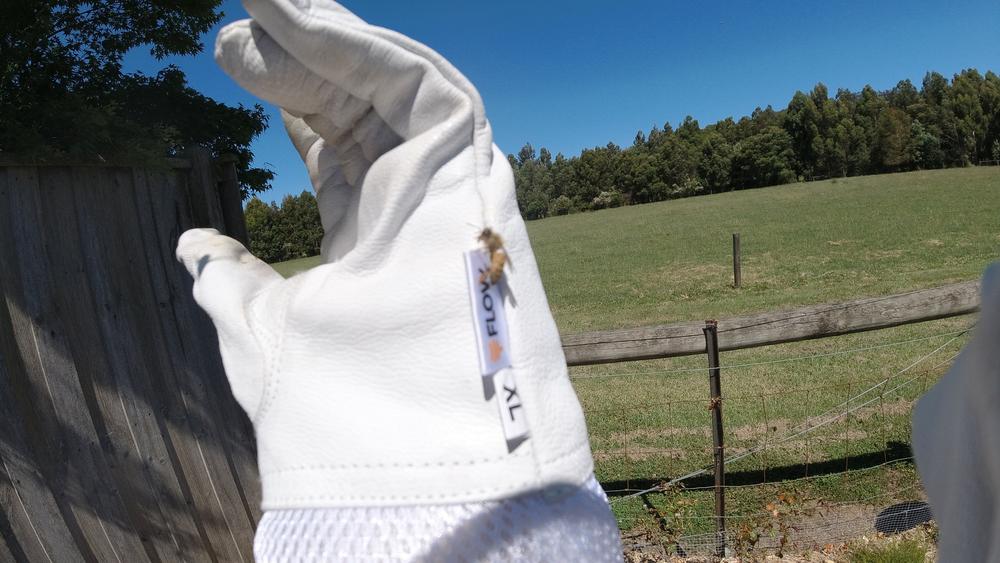 Flow Bee Gloves - Customer Photo From Sean O.