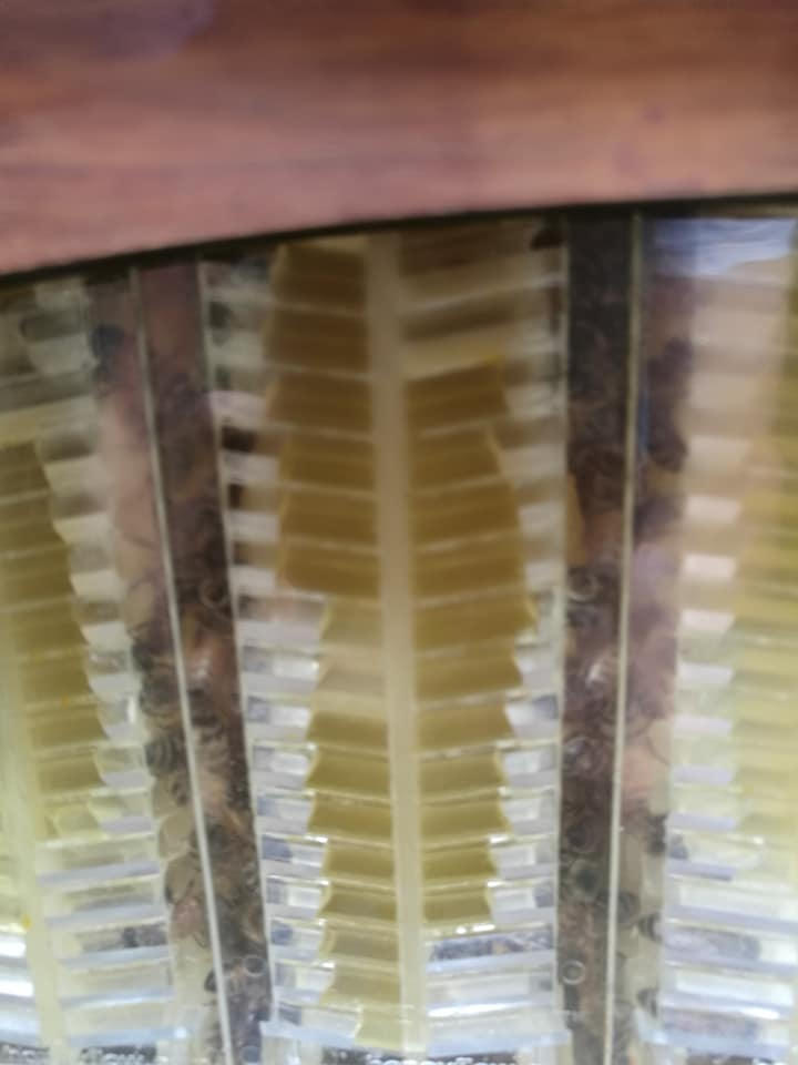 Flow Super – Flow Hive 2+ - Customer Photo From grant whitley