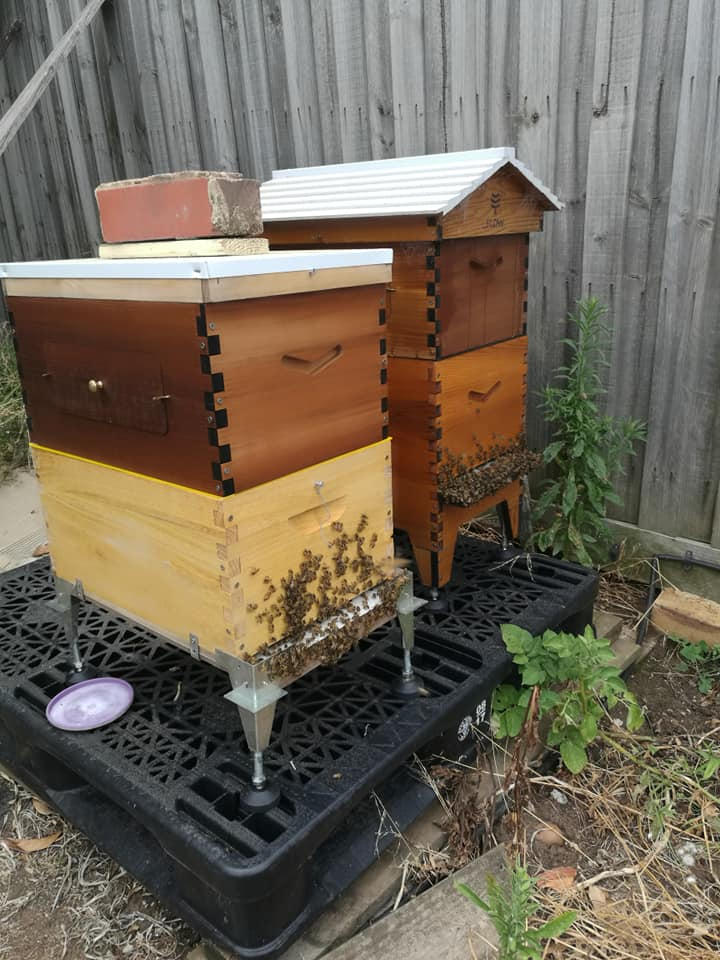 Flow Super – Flow Hive 2+ - Customer Photo From grant whitley