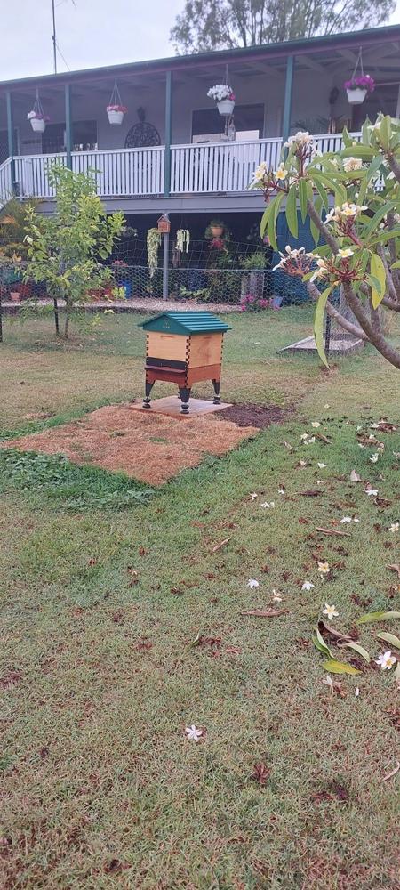 Base & Stand – Flow Hive 2+ - Customer Photo From Bronni Boike