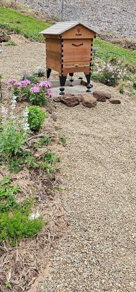 Flow Hive 2+ - Customer Photo From OBrien, Carolynne