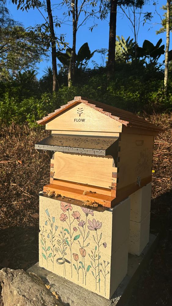  - Customer Photo From Lisa W