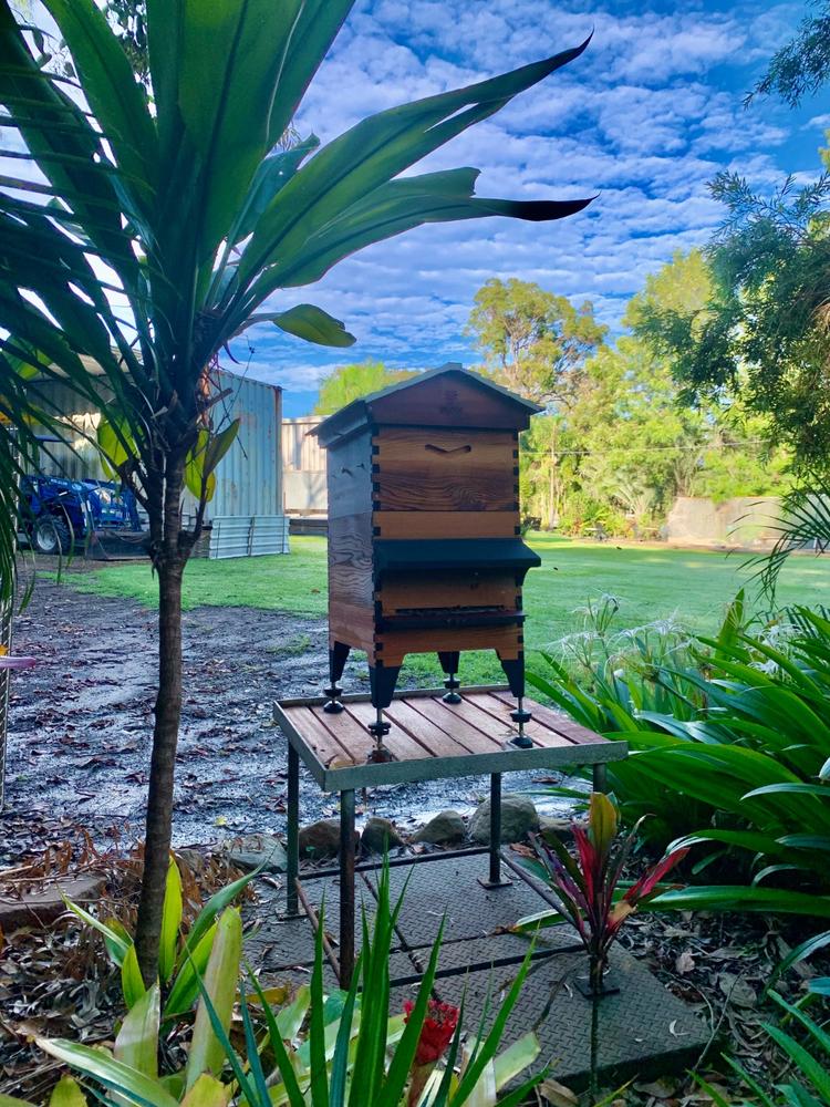 Flow Bee Jacket – Mesh - Customer Photo From Desi Rapmund