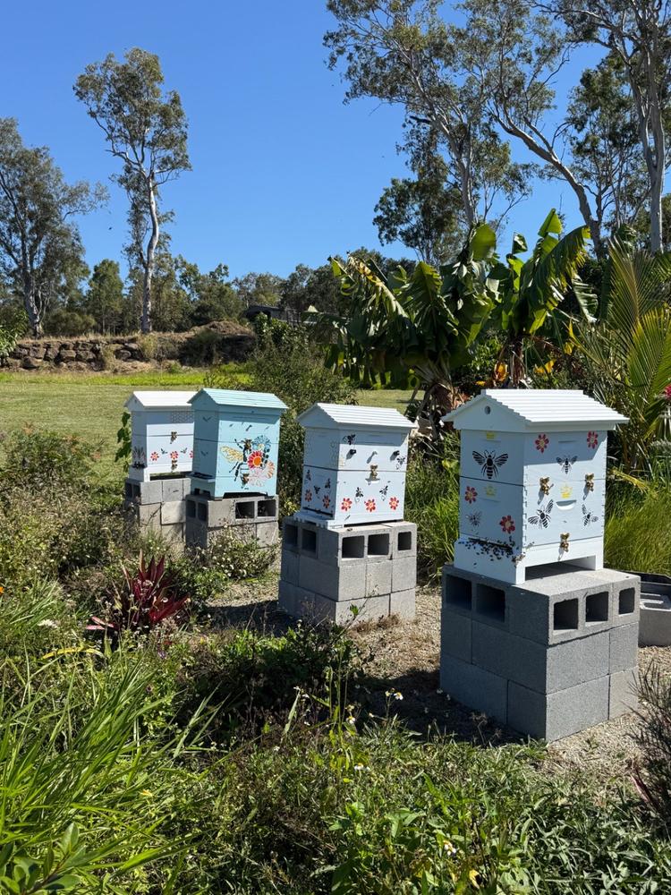 Flow Brass Hive Latches - Customer Photo From Lucy Williams