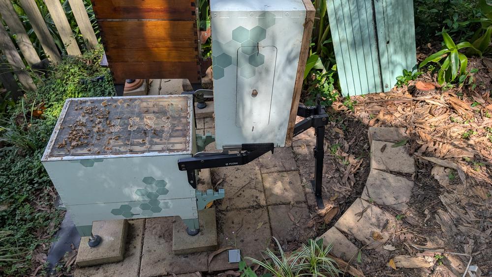  - Customer Photo From Debbie Hedges