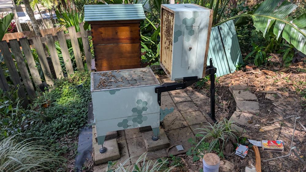  - Customer Photo From Debbie Hedges