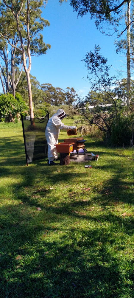 Flow Hive 2 – ThermoGrade™ - Customer Photo From david calvert