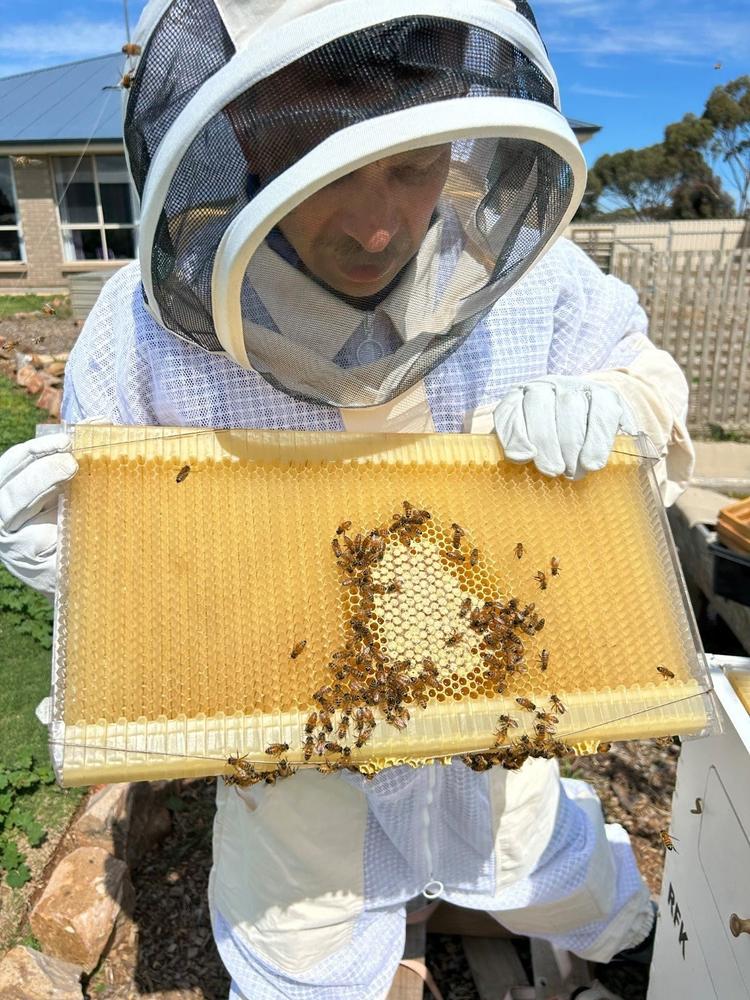 Flow Bee Suit – Mesh - Customer Photo From Riley koch