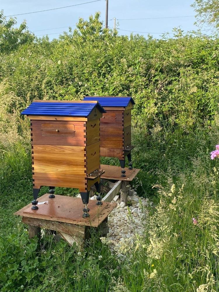 Flow Hive 2+ - Customer Photo From Aurore Olsman