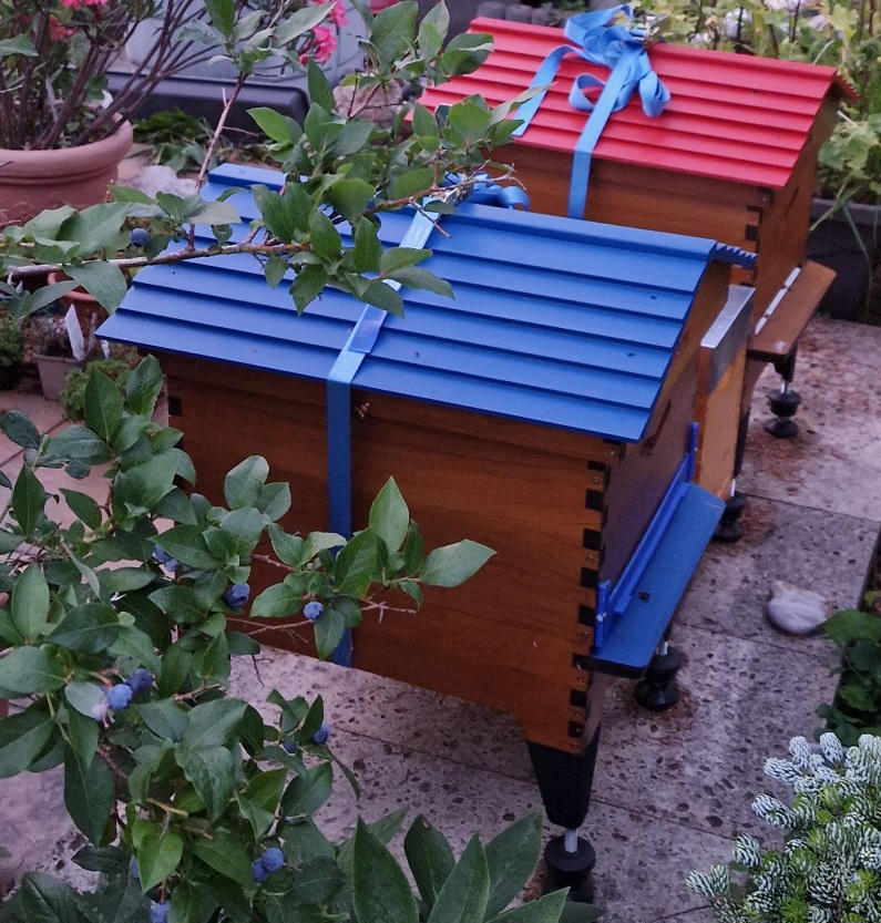 Flow Hive 2+ - Customer Photo From David Schindler