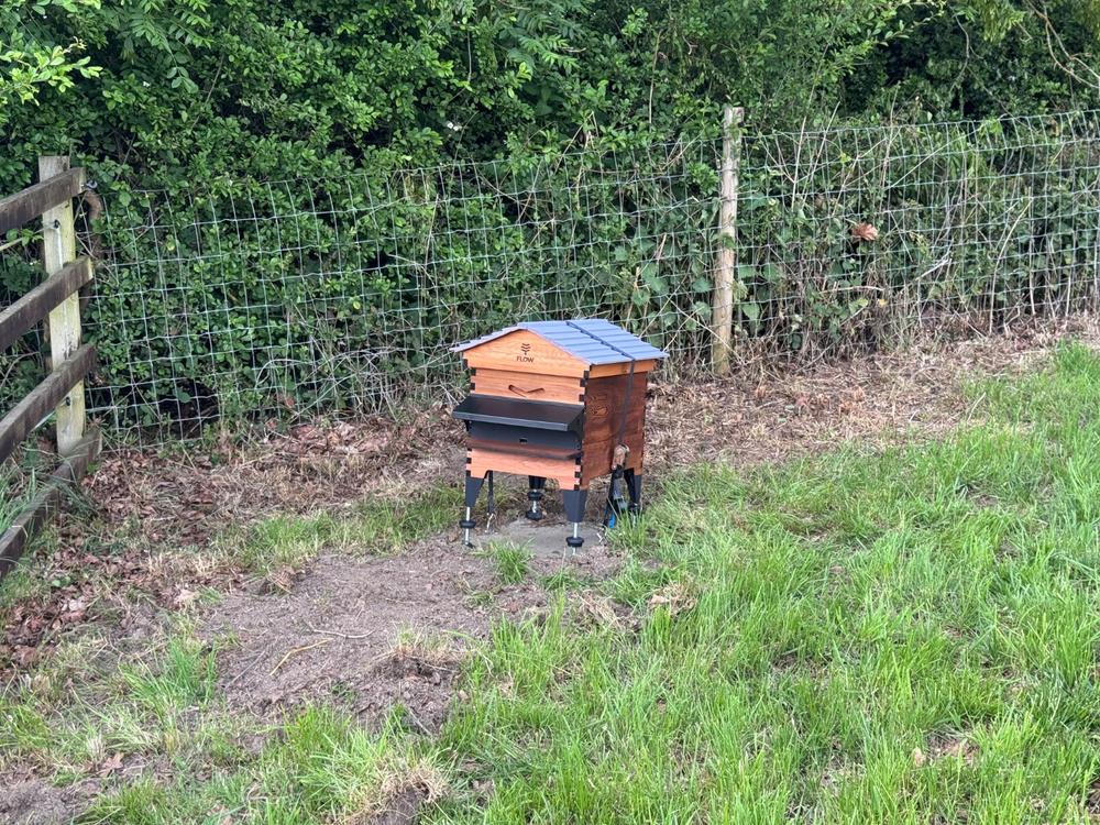 Flow Hive 2+ - Customer Photo From Scott Patterson-Lakin