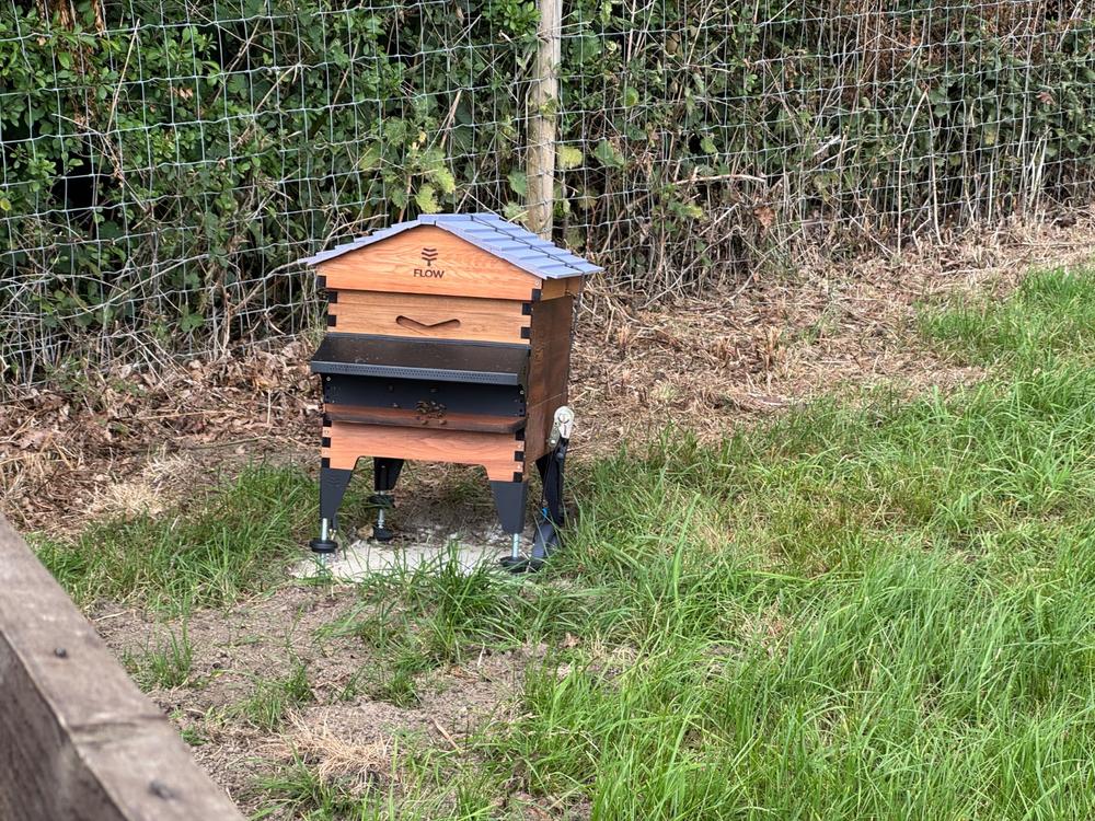 Flow Hive 2+ - Customer Photo From Scott Patterson-Lakin