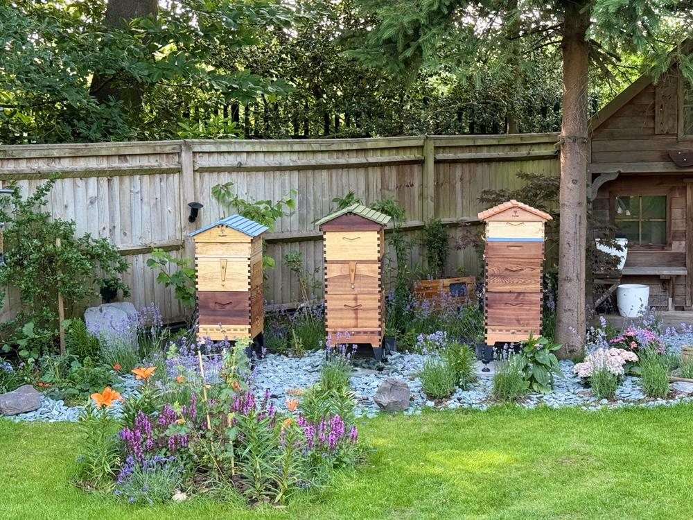 Brood Box – Flow Hive 2+ - Customer Photo From Amet Selman