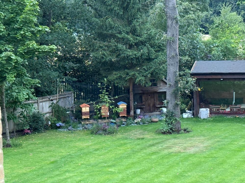 Brood Box – Flow Hive 2+ - Customer Photo From Amet Selman