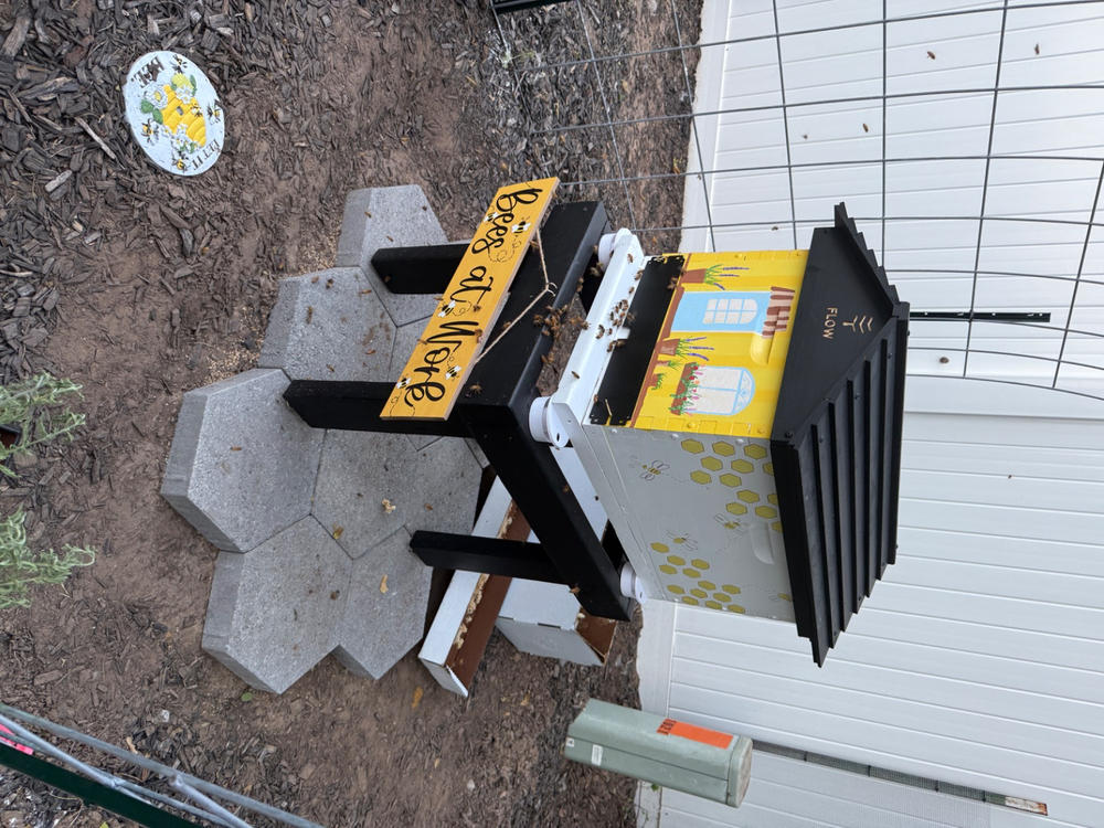 Flow Hive Classic - Customer Photo From Lisa Law
