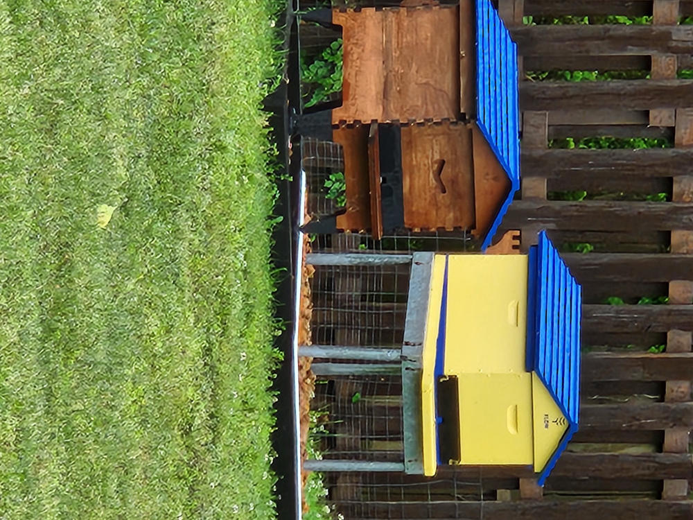 Flow Hive Classic - Customer Photo From Ken Babe