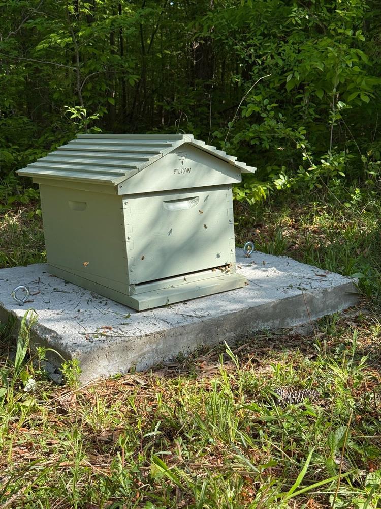 Flow Hive Classic - Customer Photo From Justin Gullett