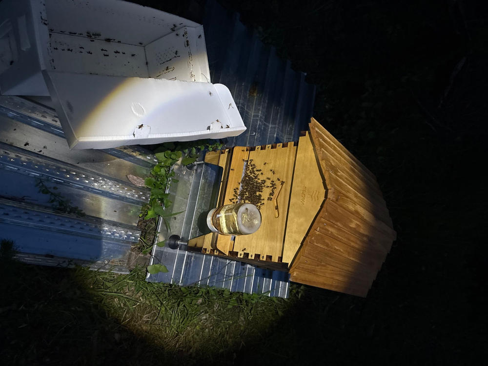 Flow Hive 2 - Customer Photo From Charles Brimmer