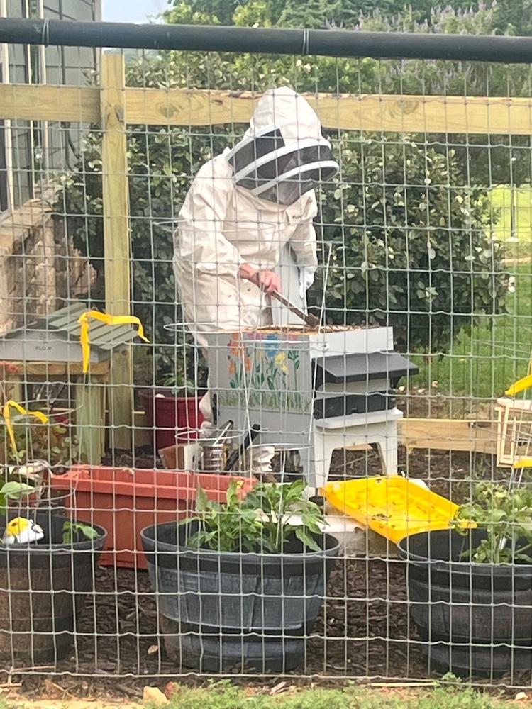 Flow Hive 2 - Customer Photo From Laurie Brackett