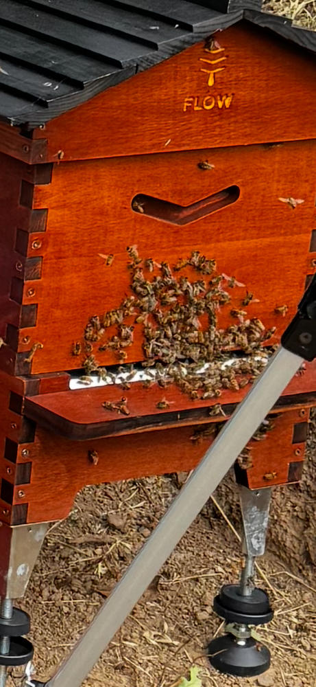 Flow Hive 2 - Customer Photo From Mike Metcalfe