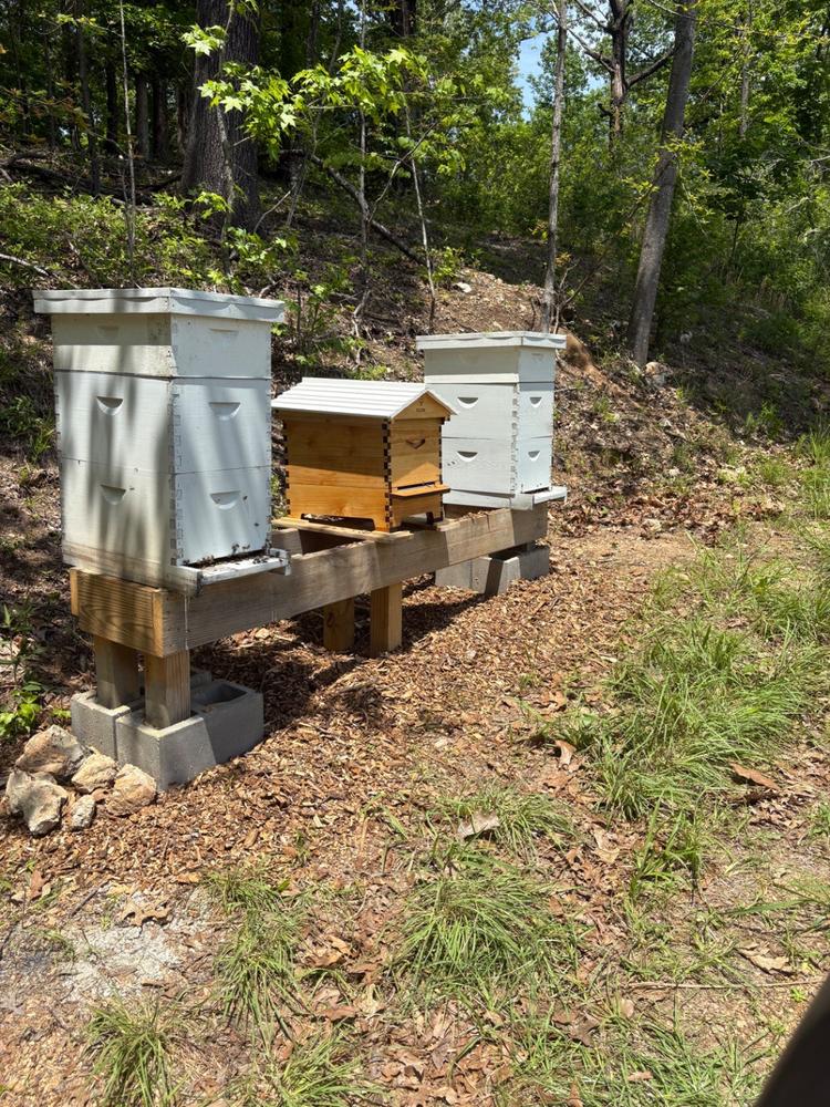 Flow Hive 2 - Customer Photo From Christopher Mohan