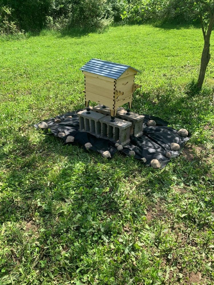 Flow Hive 2 - Customer Photo From christopher mousseau
