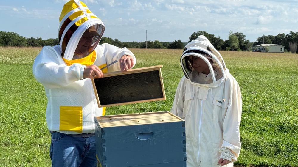 Flow Hive 2 - Customer Photo From Richard Dickens