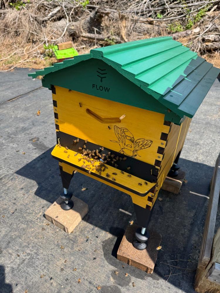 Flow Hive 2 - Customer Photo From Jack Summe