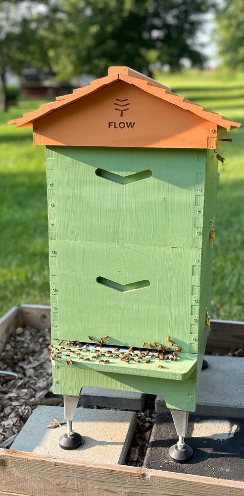 Flow Hive 2 - Customer Photo From ERICK VILLANUEVA