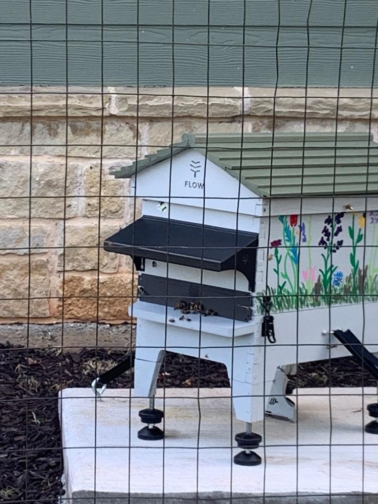 Flow Hive 2 - Customer Photo From Laurie Brackett
