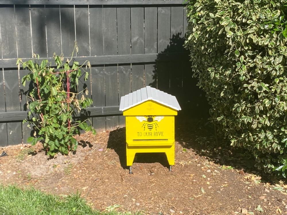 Flow Hive 2 - Customer Photo From Nate Skoog