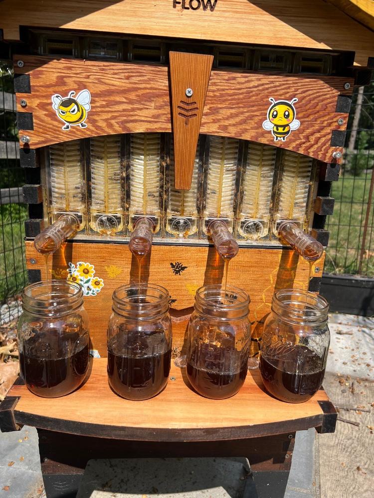 Flow Hive 2+ - Customer Photo From Emanuel Roman