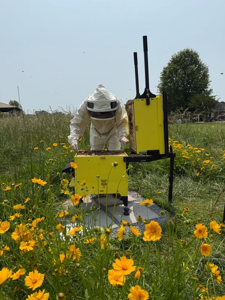 Brood Box – Flow Hive 2 - Customer Photo From Jodilyn Johnson