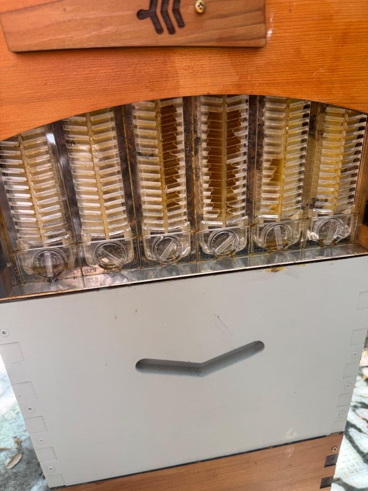 Flow Bee Gloves - Customer Photo From katherine gray