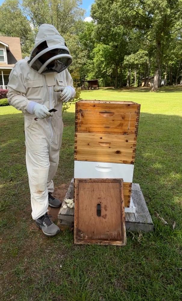 Flow Bee Suit – Organic Cotton - Customer Photo From Sarah Glanton