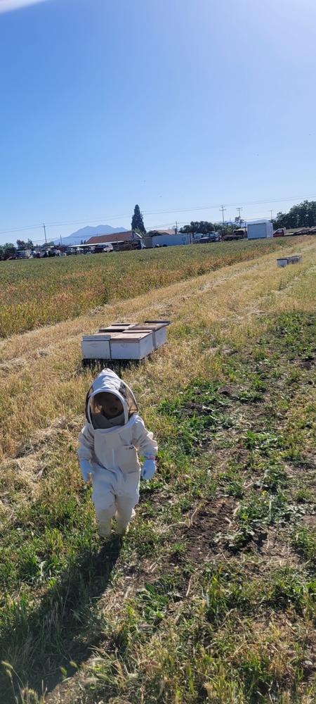 Flow Bee Suit – Organic Cotton – Toddler - Customer Photo From Mike Sanchez 